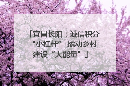 宜昌长阳：诚信积分“小杠杆” 撬动乡村建设“大能量”