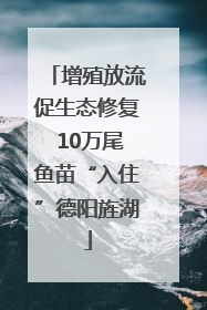 增殖放流促生态修复 10万尾鱼苗“入住”德阳旌湖