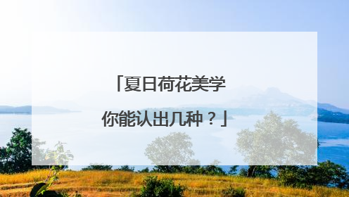 夏日荷花美学 你能认出几种？
