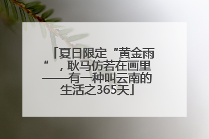 夏日限定“黄金雨”，耿马仿若在画里——有一种叫云南的生活之365天