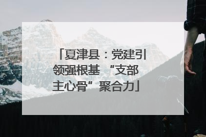 夏津县：党建引领强根基 “支部主心骨”聚合力