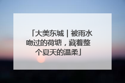 大美东城｜被雨水吻过的荷塘，藏着整个夏天的温柔