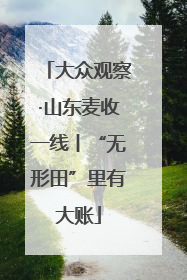 大众观察·山东麦收一线丨“无形田”里有大账