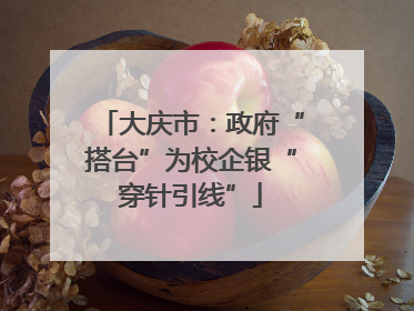 大庆市：政府“搭台”为校企银“穿针引线”