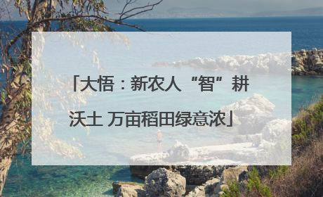 大悟：新农人“智”耕沃土 万亩稻田绿意浓