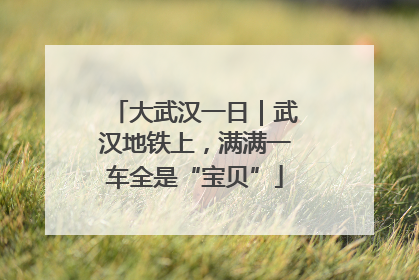 大武汉一日｜武汉地铁上，满满一车全是“宝贝”