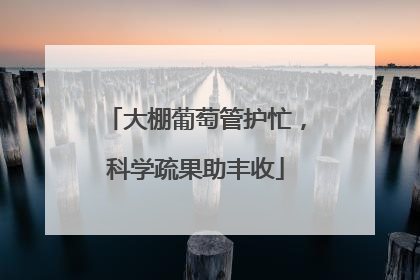 大棚葡萄管护忙，科学疏果助丰收