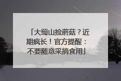 大蜀山捡蘑菇？近期疯长！官方提醒：不要随意采摘食用