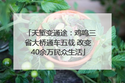 天堑变通途：鸡鸣三省大桥通车五载 改变40余万民众生活