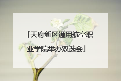 天府新区通用航空职业学院举办双选会