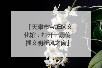 天津市宝坻区文化馆：打开一扇传播文明新风之窗