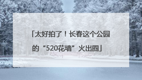 太好拍了！长春这个公园的“520花墙”火出圈
