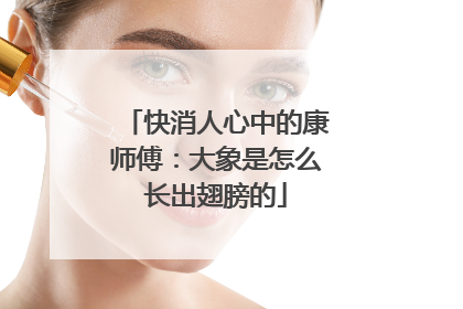 快消人心中的康师傅：大象是怎么长出翅膀的