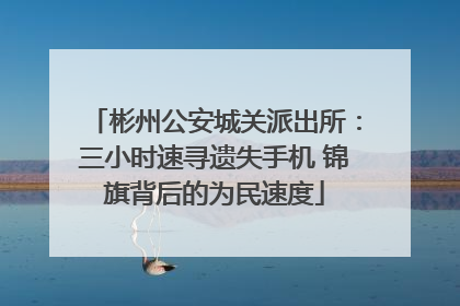 彬州公安城关派出所：三小时速寻遗失手机 锦旗背后的为民速度
