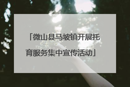 微山县马坡镇开展托育服务集中宣传活动