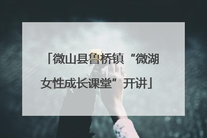 微山县鲁桥镇“微湖女性成长课堂”开讲