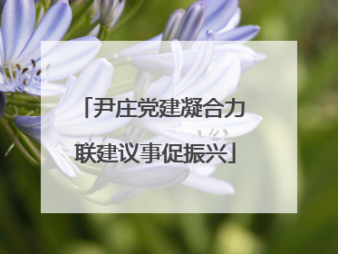 尹庄党建凝合力 联建议事促振兴