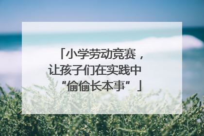 小学劳动竞赛，让孩子们在实践中“偷偷长本事”