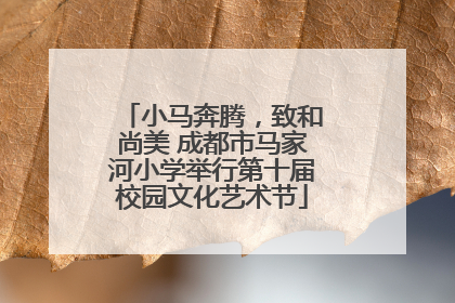 小马奔腾，致和尚美 成都市马家河小学举行第十届校园文化艺术节