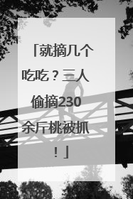 就摘几个吃吃？三人偷摘230余斤桃被抓！