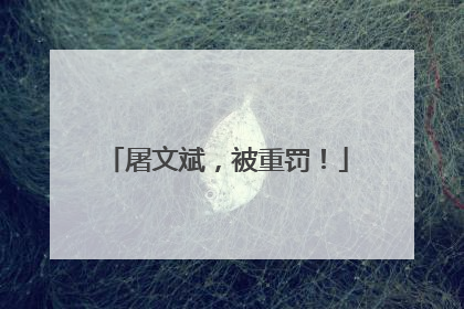 屠文斌，被重罚！