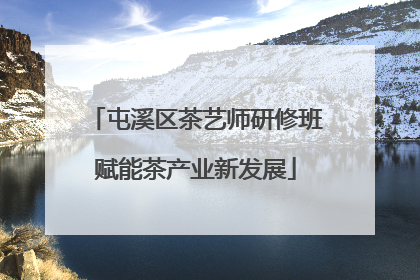 屯溪区茶艺师研修班赋能茶产业新发展