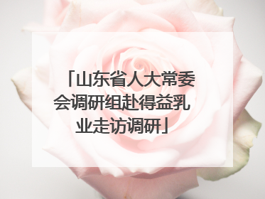 山东省人大常委会调研组赴得益乳业走访调研