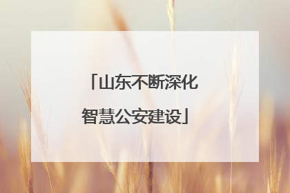 山东不断深化智慧公安建设