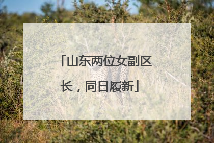 山东两位女副区长，同日履新