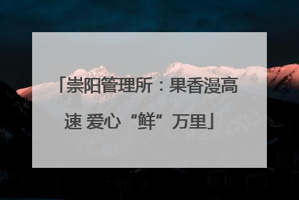 崇阳管理所：果香漫高速 爱心“鲜”万里