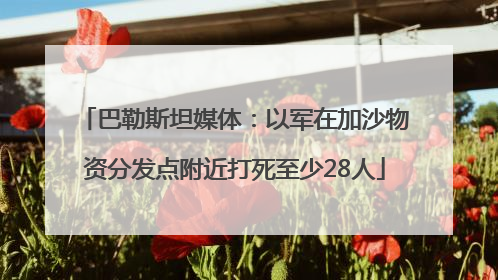 巴勒斯坦媒体：以军在加沙物资分发点附近打死至少28人