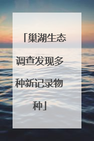 巢湖生态调查发现多种新记录物种