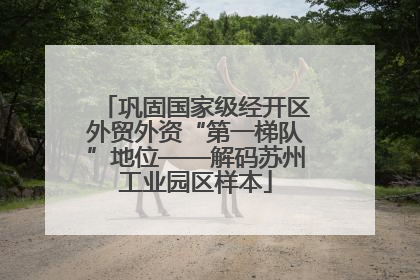 巩固国家级经开区外贸外资“第一梯队”地位——解码苏州工业园区样本