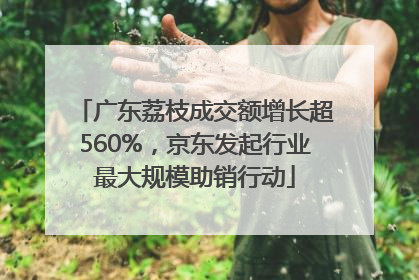广东荔枝成交额增长超560%，京东发起行业最大规模助销行动