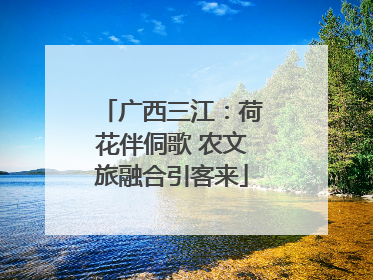 广西三江：荷花伴侗歌 农文旅融合引客来