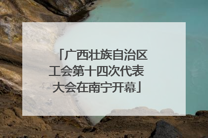 广西壮族自治区工会第十四次代表大会在南宁开幕
