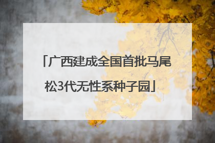 广西建成全国首批马尾松3代无性系种子园