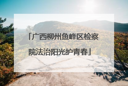 广西柳州鱼峰区检察院法治阳光护青春