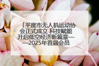 平度市无人机运动协会正式成立 科技赋能开启低空经济新篇章——2025年首届会员大会暨无人机应用发展论坛成功举办