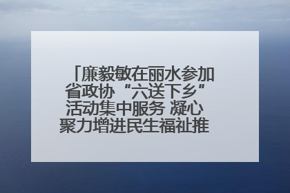 廉毅敏在丽水参加省政协“六送下乡”活动集中服务 凝心聚力增进民生福祉推进共同富裕