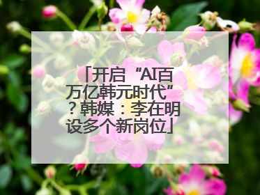 开启“AI百万亿韩元时代”？韩媒：李在明设多个新岗位