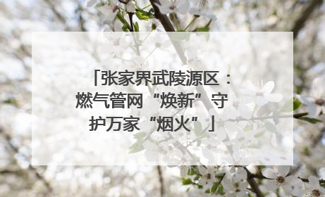 张家界武陵源区：燃气管网“焕新”守护万家“烟火”