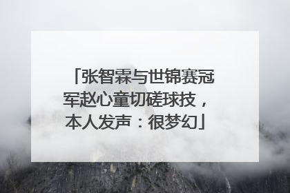 张智霖与世锦赛冠军赵心童切磋球技，本人发声：很梦幻
