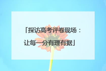 探访高考评卷现场：让每一分有理有据