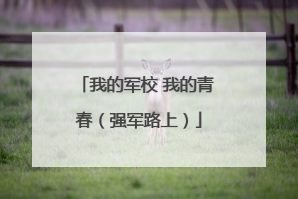 我的军校 我的青春（强军路上）