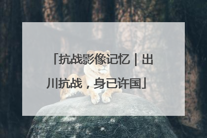 抗战影像记忆｜出川抗战，身已许国