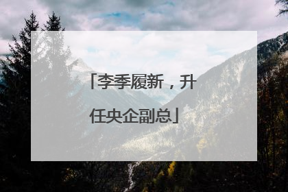 李季履新，升任央企副总