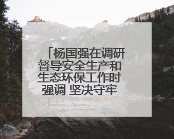 杨国强在调研督导安全生产和生态环保工作时强调 坚决守牢安全环保底线红线 为全市经济社会高质量发展提供坚强保障