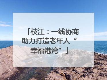 枝江：一线协商助力打造老年人“幸福港湾”
