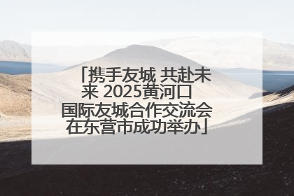 携手友城 共赴未来 2025黄河口国际友城合作交流会在东营市成功举办